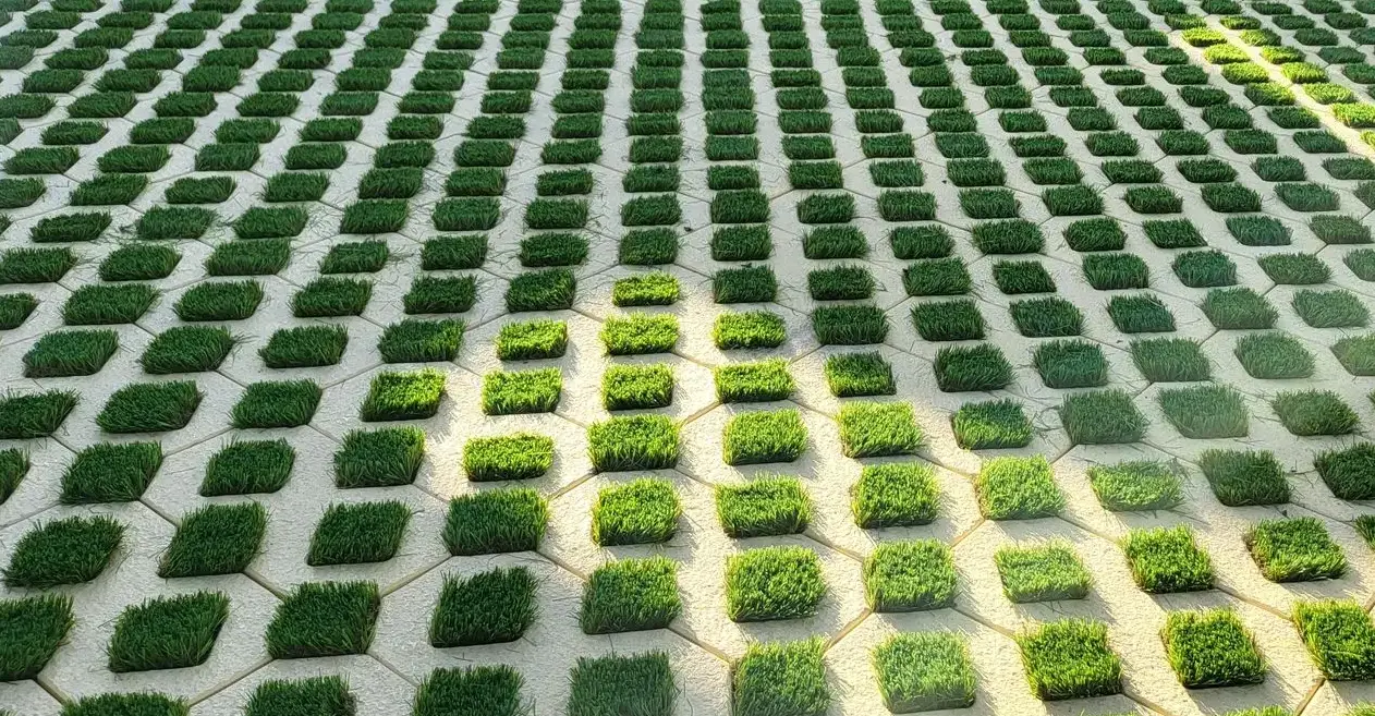 Grass Paver Bloacks Grass Paver Bloacks